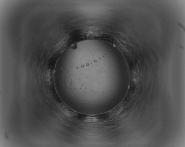 X0000093590519200710151206