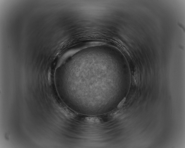 X0000093590520200710151206