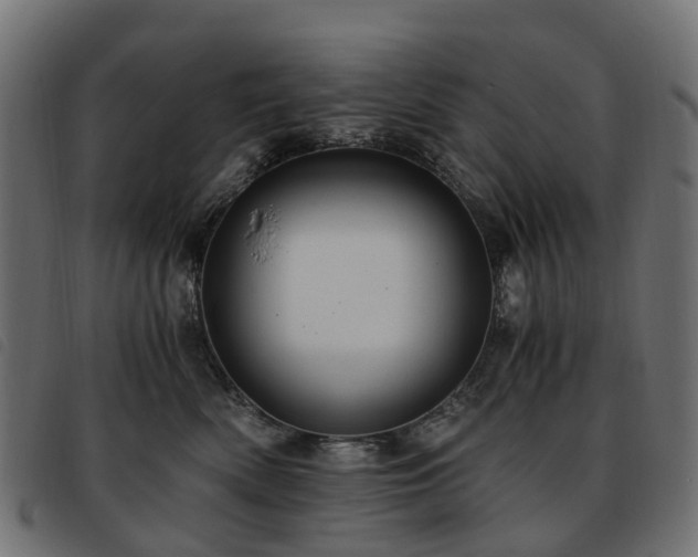 X0000093590522200710151206