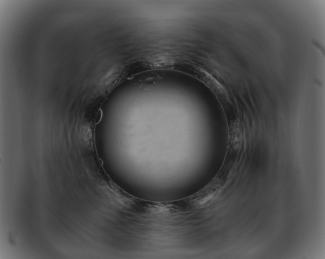 X0000093590523200710151206
