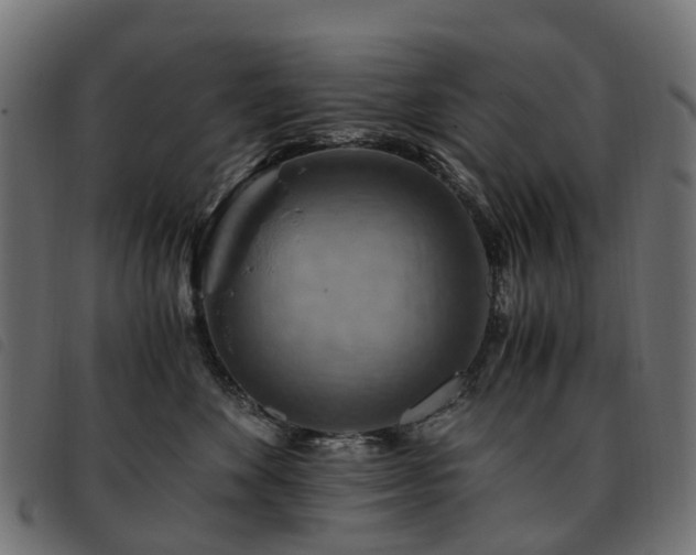 X0000093590524200710151206
