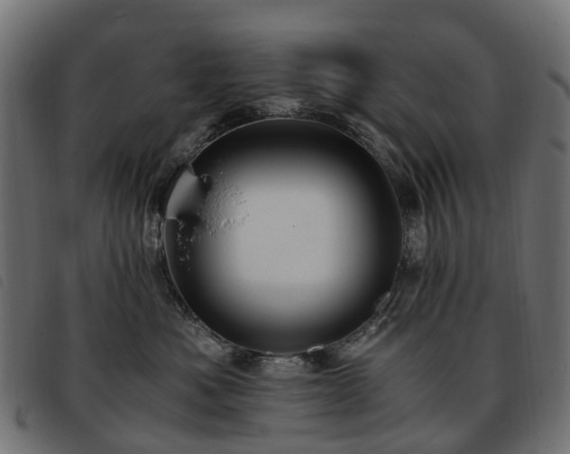 X0000093590525200710151206