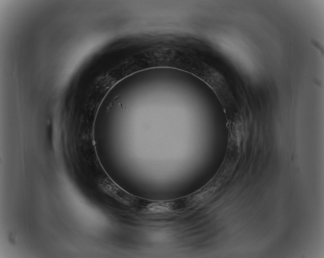 X0000093590526200710151206