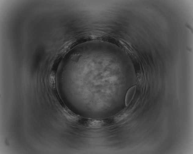 X0000093590527200710151206