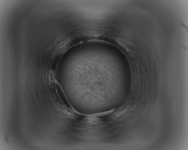 X0000093590528200710151206