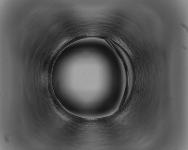 X0000093590530200710151206