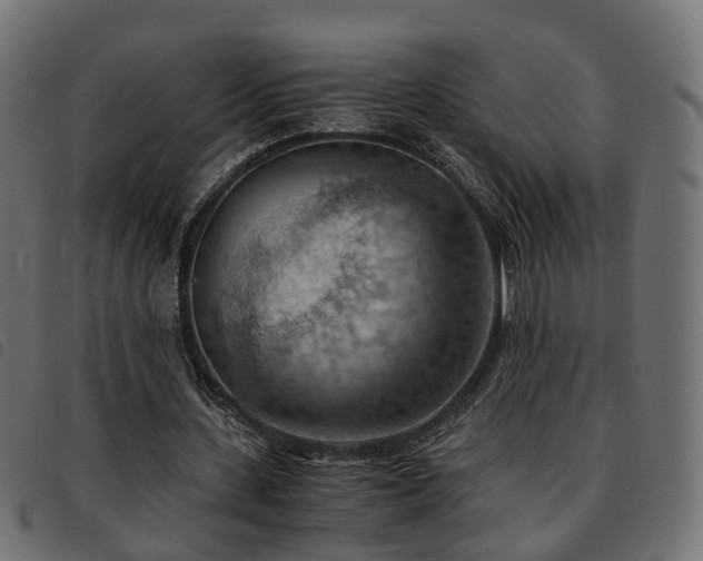 X0000093590531200710151206