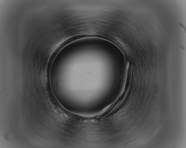 X0000093590532200710151206