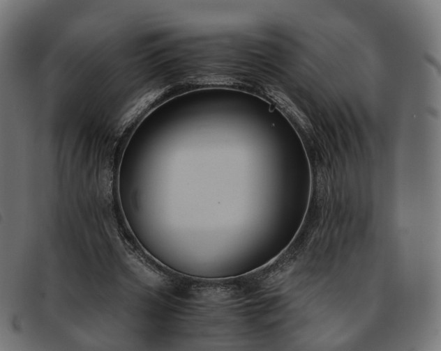 X0000093590533200710151206