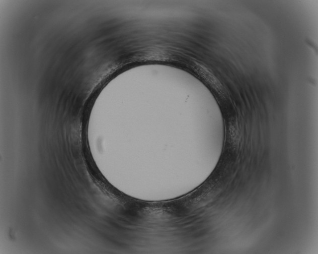 X0000093590534200710151206