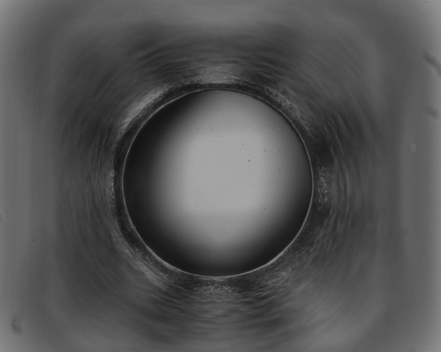 X0000093590535200710151206