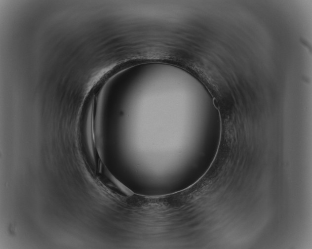 X0000093590536200710151206
