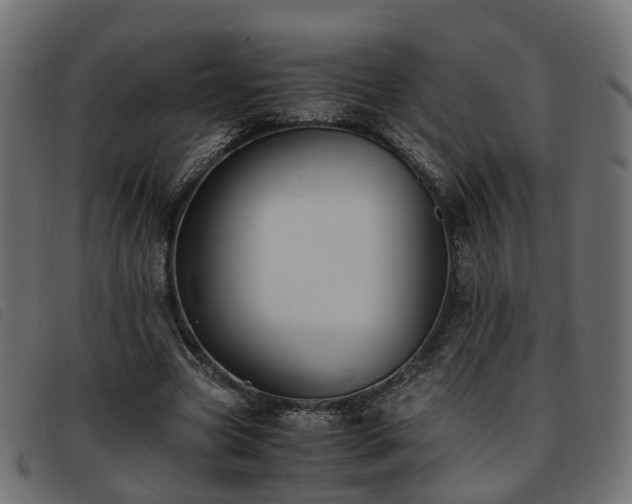 X0000093590537200710151206