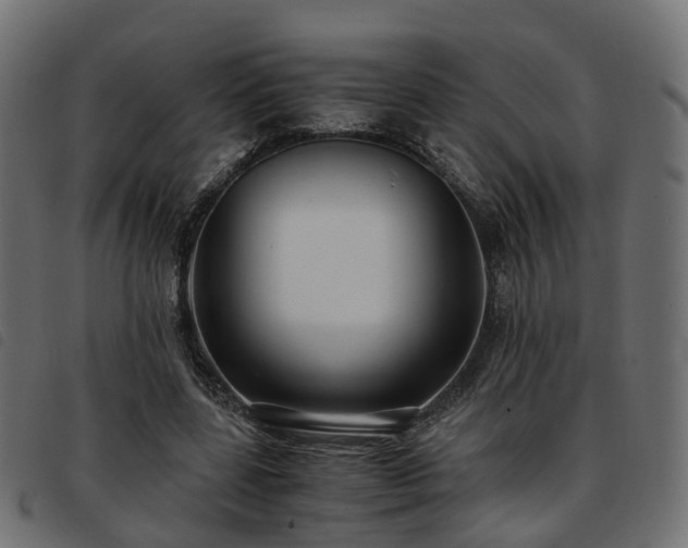 X0000093590539200710151206
