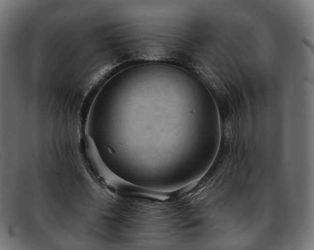 X0000093590540200710151206