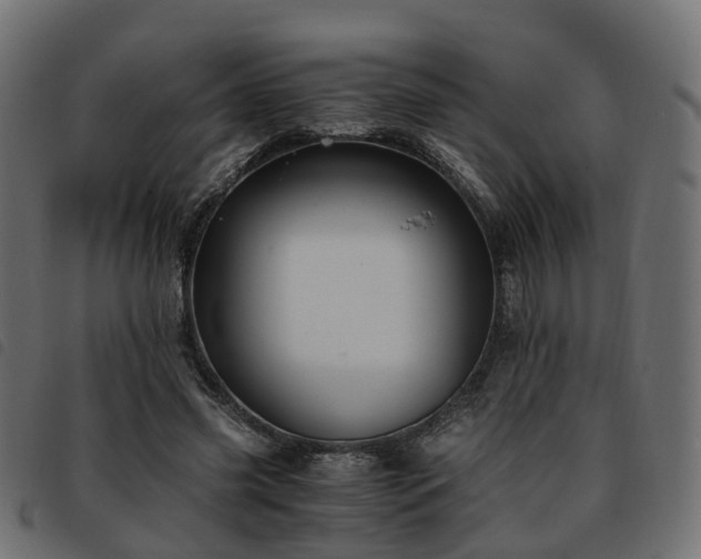 X0000093590541200710151206