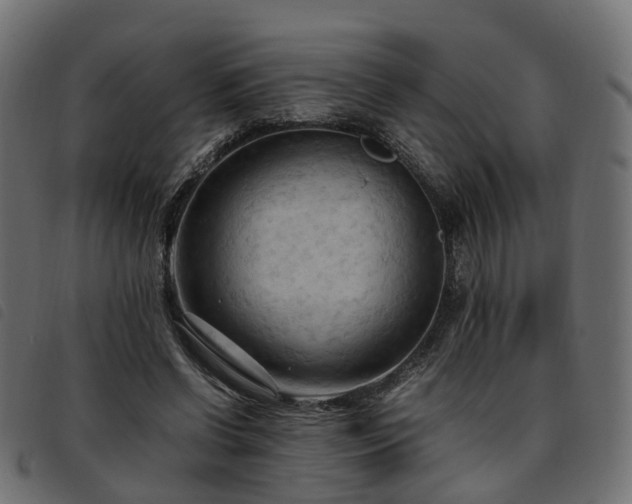 X0000093590542200710151206