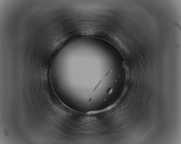 X0000093590543200710151206