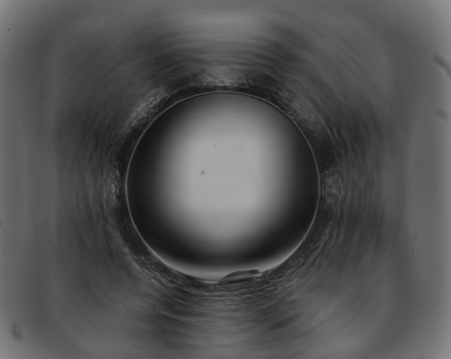 X0000093590544200710151206