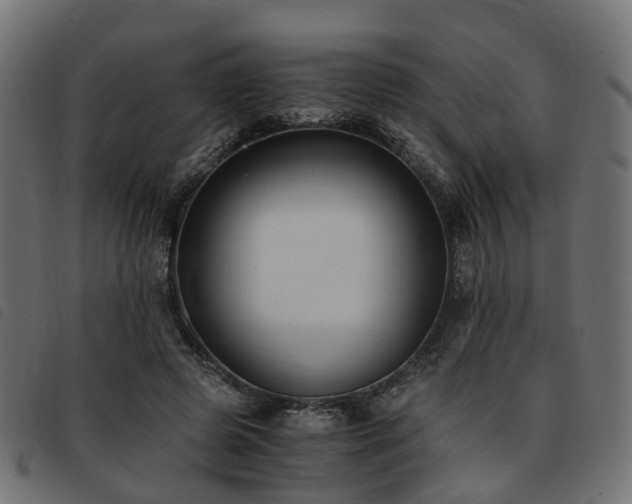 X0000093590545200710151206