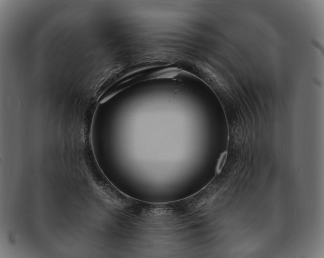 X0000093590546200710151206