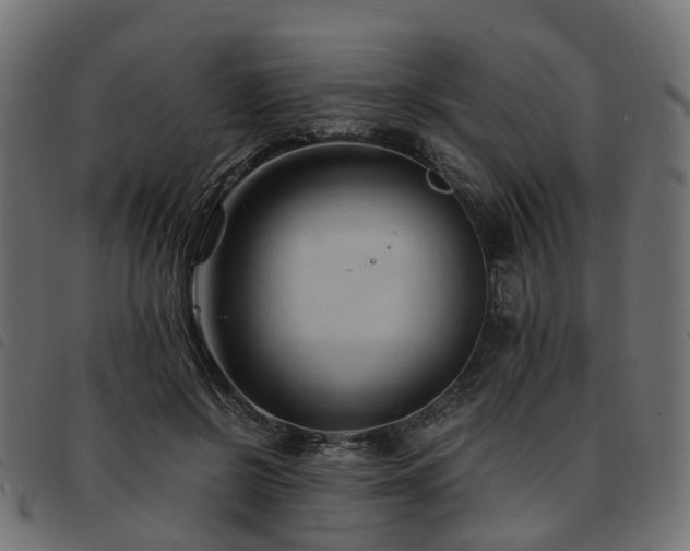 X0000093590550200710151206