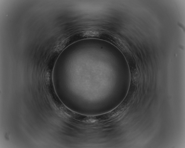 X0000093590551200710151206