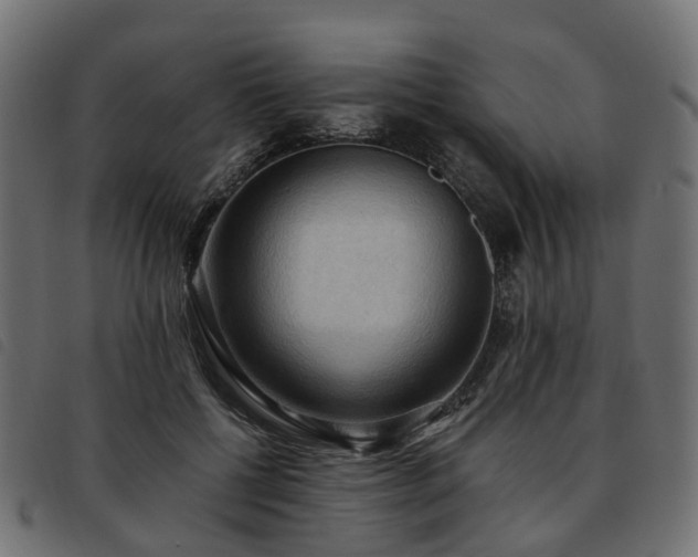 X0000093590552200710151206