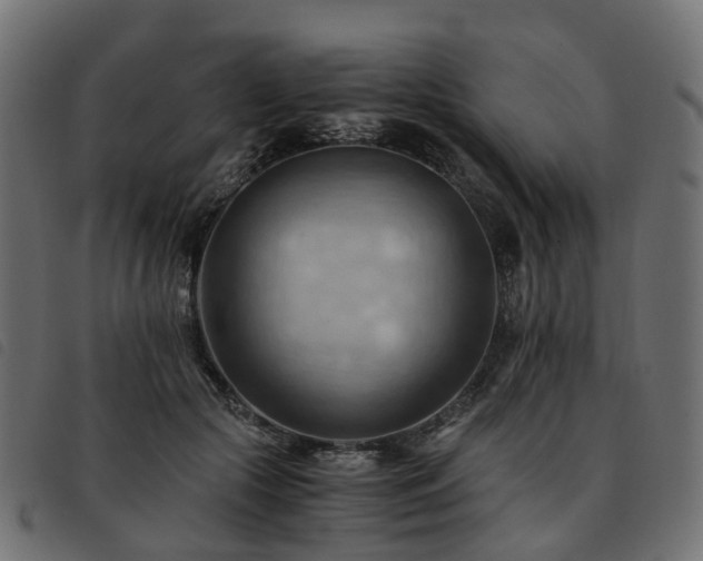X0000093590553200710151206