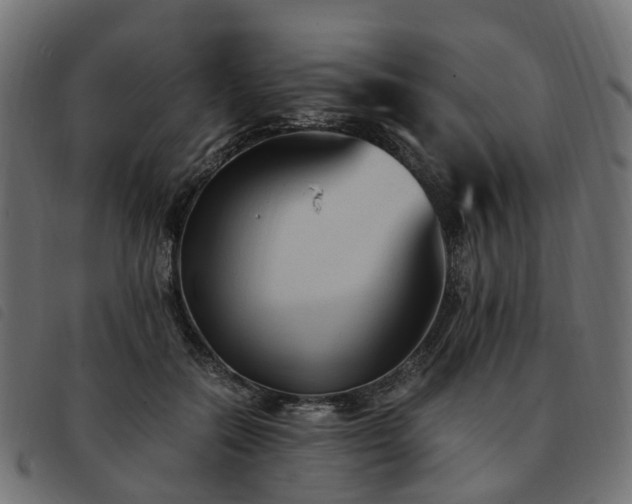 X0000093590554200710151206