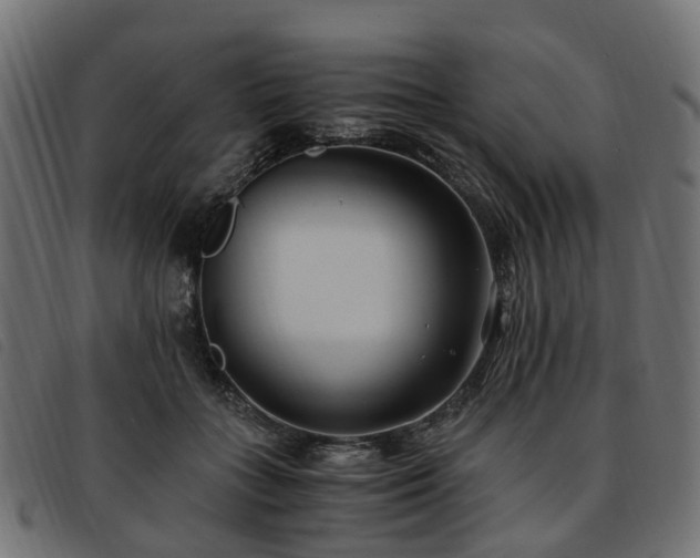 X0000093590555200710151206