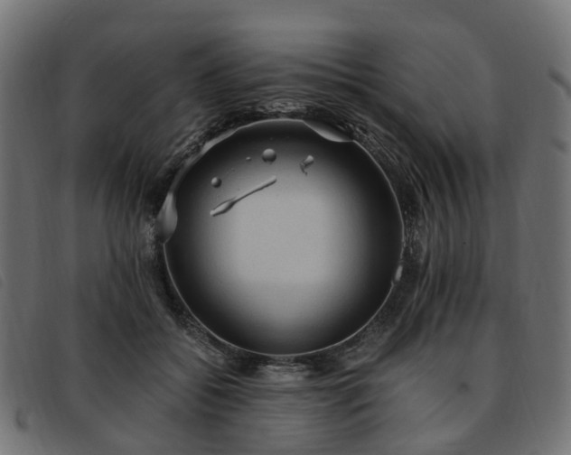 X0000093590556200710151206