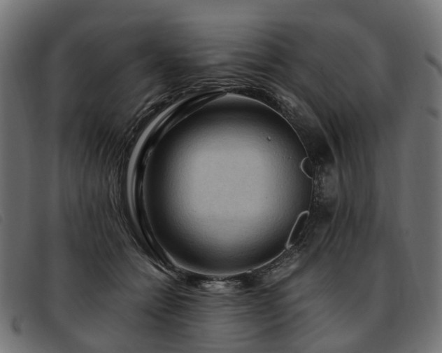 X0000093590558200710151206