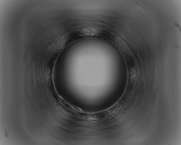 X0000093590559200710151206