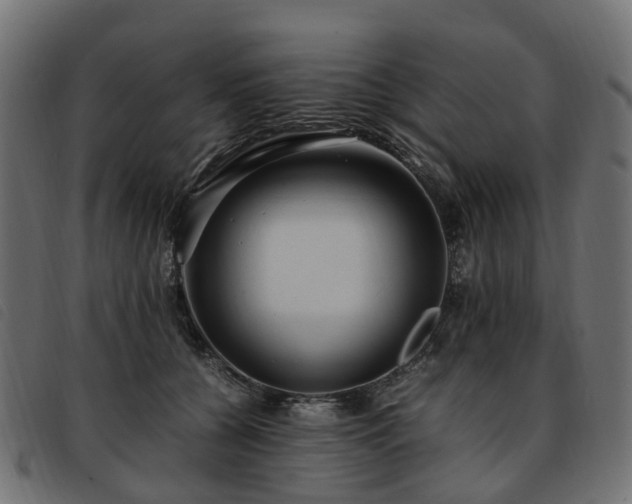 X0000093590560200710151206