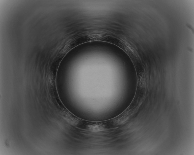 X0000093590561200710151206