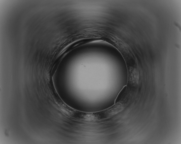 X0000093590562200710151206