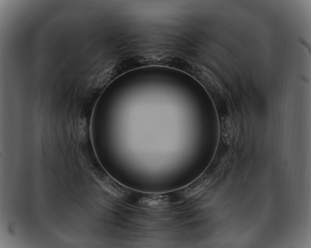 X0000093590563200710151206