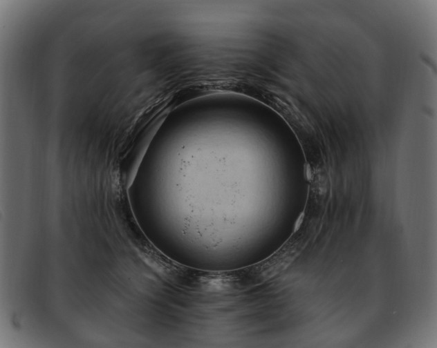 X0000093590564200710151206