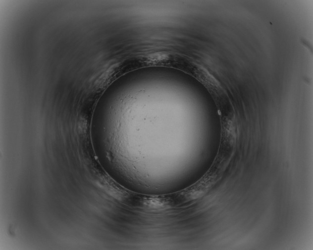 X0000093590565200710151206