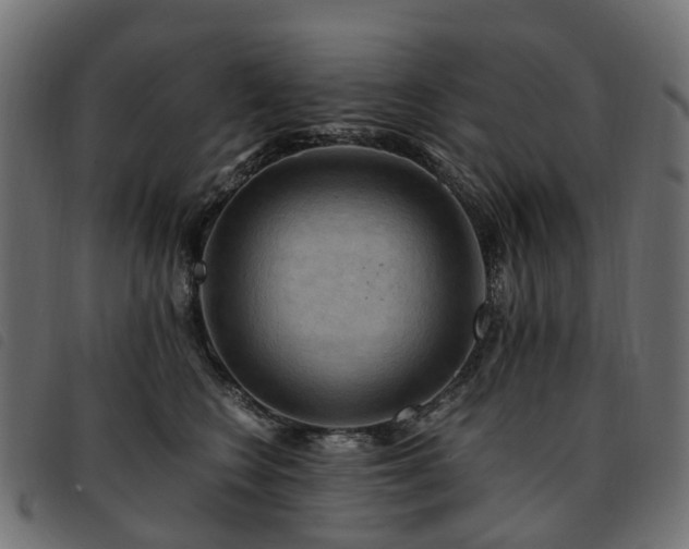 X0000093590566200710151206