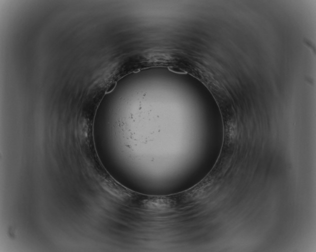X0000093590567200710151206