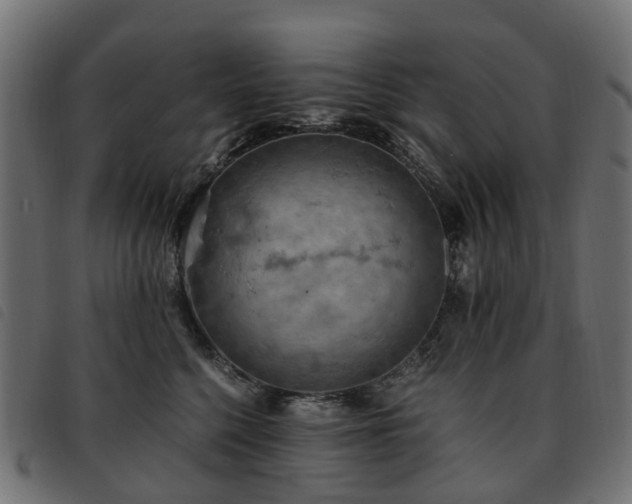 X0000093590568200710151206