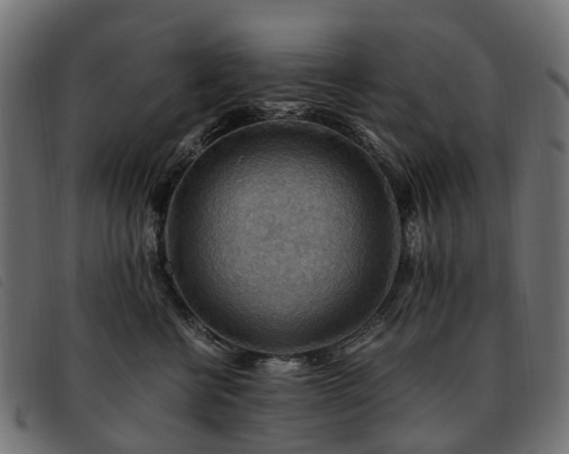 X0000093590570200710151206