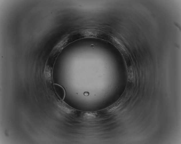 X0000093590573200710151206
