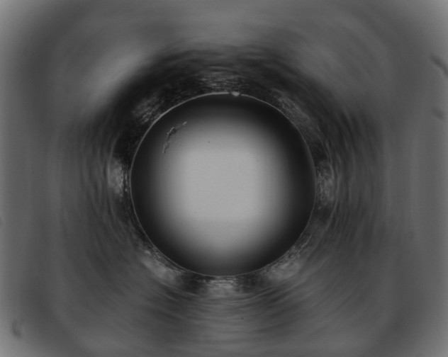 X0000093590574200710151206