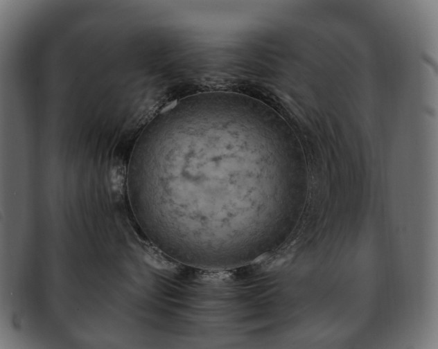 X0000093590576200710151206