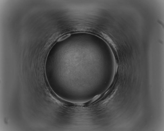 X0000093590577200710151206