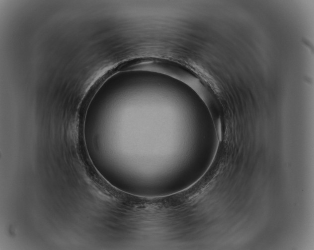 X0000093590580200710151206