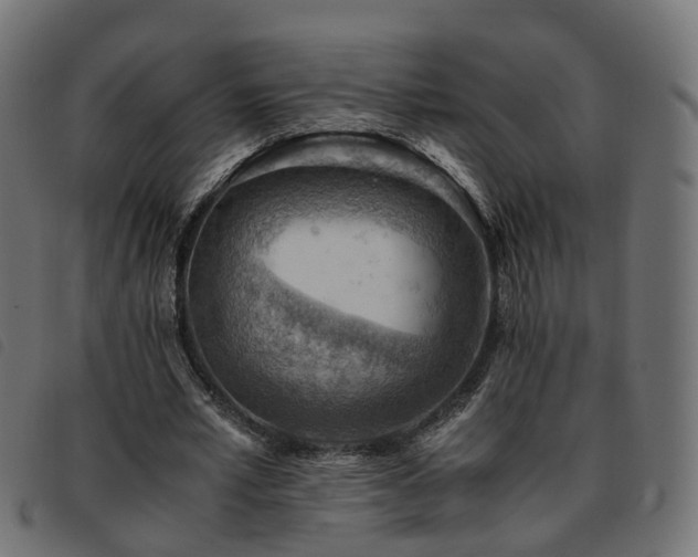 X0000093590581200710151206